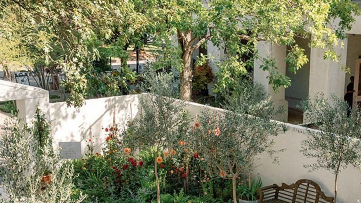 Courtyard garden landscape
